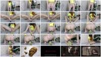 Marcos579 FullHD 1080p Sexy Pee And Poo [Pee, Farting, Poop, Defecation, Extreme Scat]