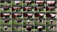 Versauteschnukkis FullHD 1080p Shit on the way while walking [Farting, Defecation, Extreme, Solo]