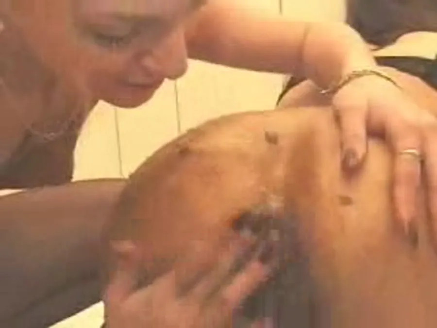 Girls SD Scat French Milfs L87 [Slander, Damage]