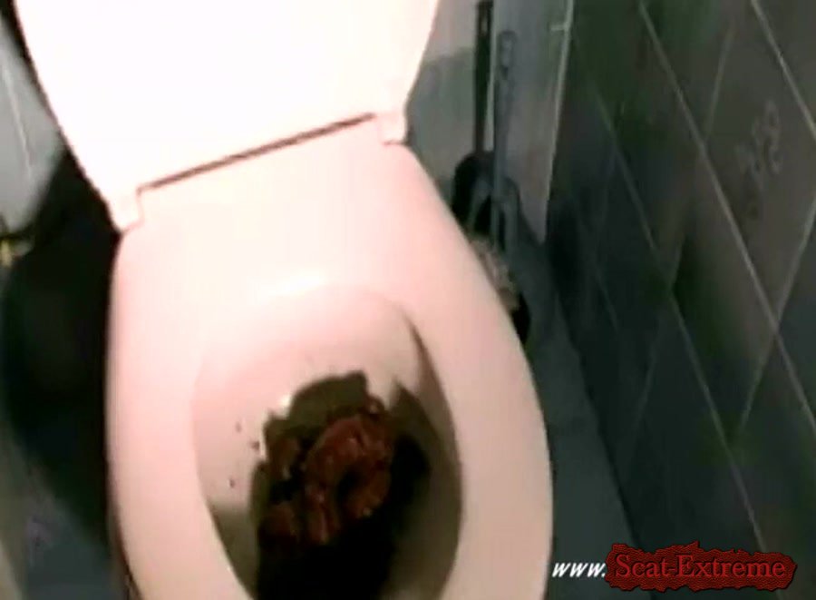 Ana Didovic SD Flushing Probs [Solo Scat, Shitting, Scatting, Shitting Girls, Poop Smear, Dirty Anal, Netherlands]