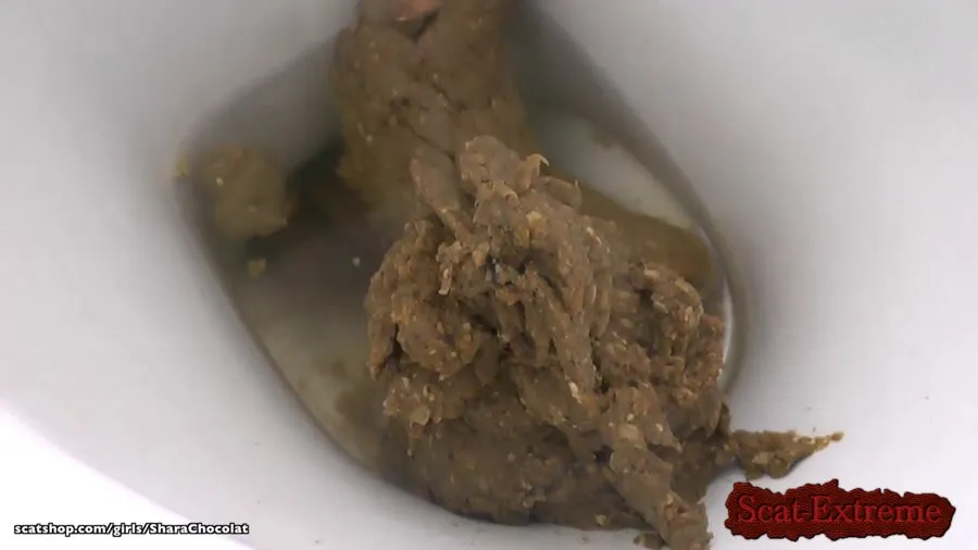 SharaChocolat FullHD 1080p 2 Lochness Monster Poos [Toilet Slavery, Couples Scat]