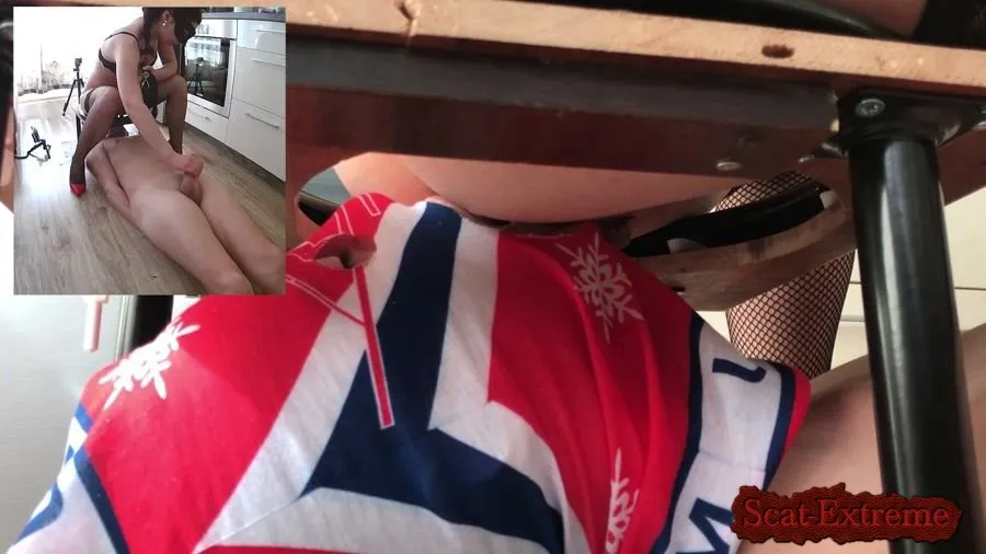 MistressAnna FullHD 1080p Shit eater worm [Femdom, Shitting]