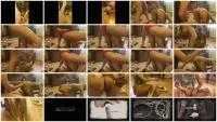 SmellyVany HD 720p Scat Body 2 [Solo, Scatting]