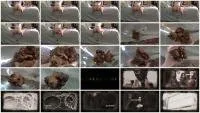Amateur FullHD 1080p Poop 13 [Scatology, Defecation]