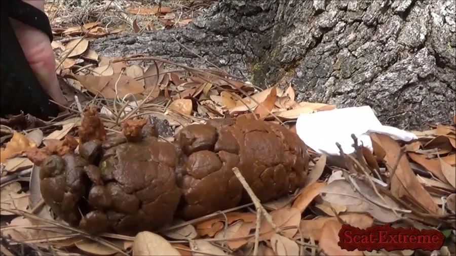 FullHD 1080p Poop 14 [Smelling, Slander]