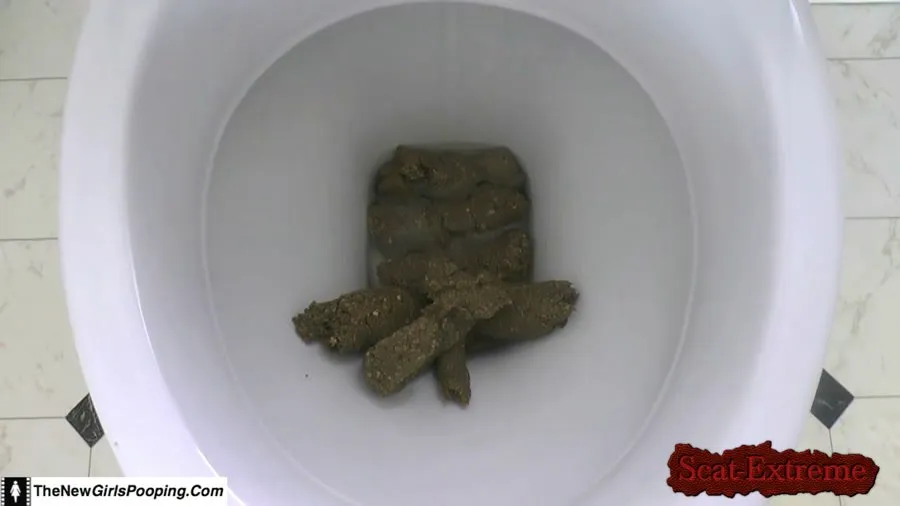 ShitGirl FullHD 1080p Toilet Destroyed In 5 Mins [Scatology, Poop]
