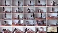 Lisadomina FullHD 1080p Wanna Be Toilet Slave [Scatting, Toilet Slavery]