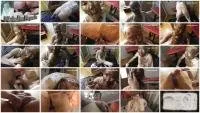 Mistress FullHD 1080p Sly toilet slut, shitting and eating shit [Sex Scat, Kaviar Scat]