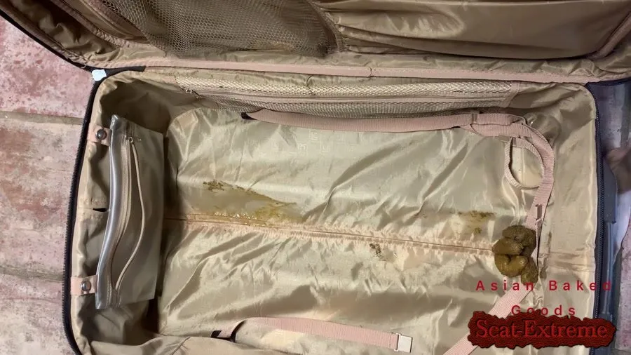 Marinayam19 FullHD 1080p Shit in suitcase, dragged around town! [Farting, Pee]