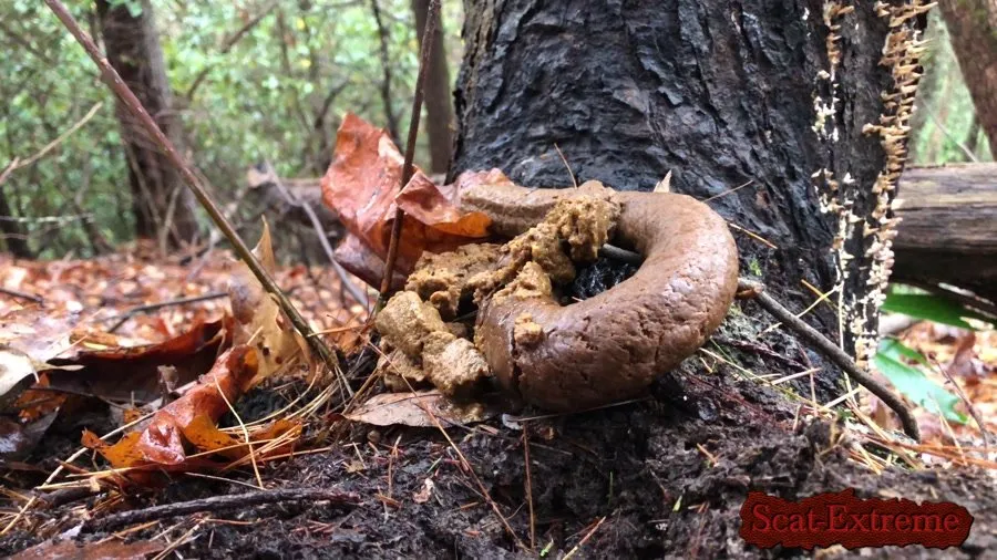 Goddesslucy UltraHD 4K 4k Huge Snaky Shit Outdoors [Solo, Shit]