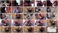 Natalia Kapretti FullHD 1080p Get Smelly Shit Themselves Out Of Ass [Blowjob, Domination]