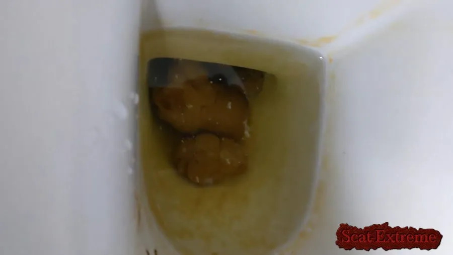 PooGirlSofia FullHD 1080p Talking on the toilet whilst shitting [Farting, Pee]
