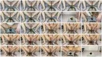 Markovna UltraHD 4K Piles of shit on the mirror [Poop, Solo]