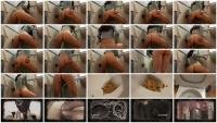 AinaraX FullHD 1080p Big Load in the WC [Efro, Pee, Farting, Defecation, Extreme, Solo]