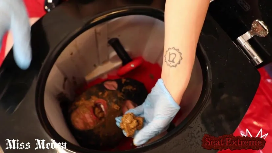 Miss Medea FullHD 1080p 2 Strict Mistresses train a Beginner Toilet [Toilet Slavery, Humiliation]