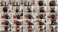 Devil Sophie FullHD 1080p Diarrhea on the horny latex leggings - I shoot you my anal plug [Domination, Humiliation]
