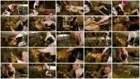 Lyndra Lynn, Betty HD 1080p Lyndra Lynn and Betty's – Cowshed domination Manure Fetish [Domination, Lezdom]