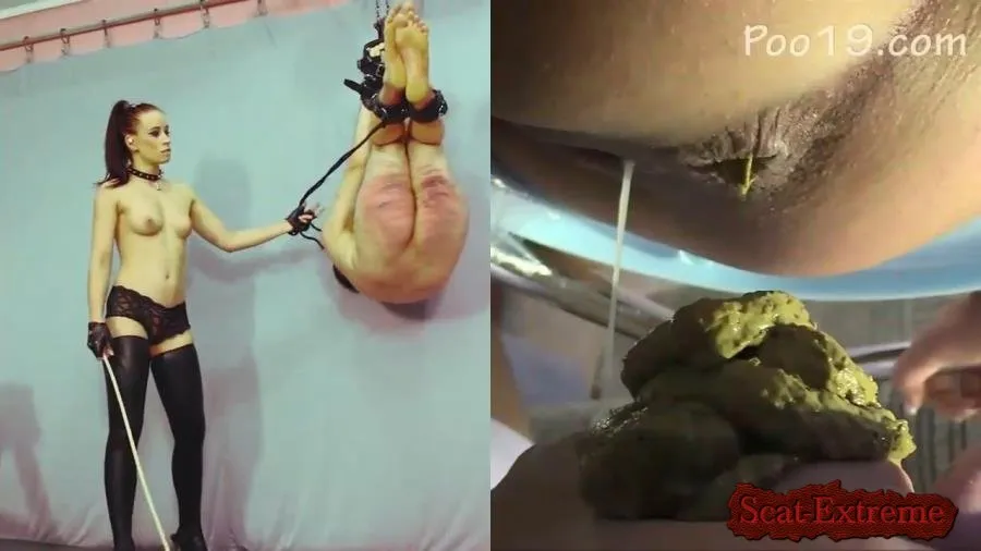 Femdom HD 720p Wretched animal 2 [Femdom, Pegging]