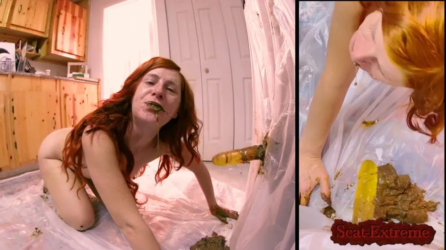 FreckledRED FullHD 1080p Fridge Fuck [Blowjob, Anal Scat]