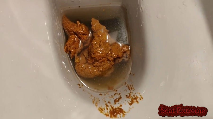 AinaraX FullHD 1080p Big Load in the WC [Piss, Efro, Pee, Farting, Poop, Defecation, Amateur]