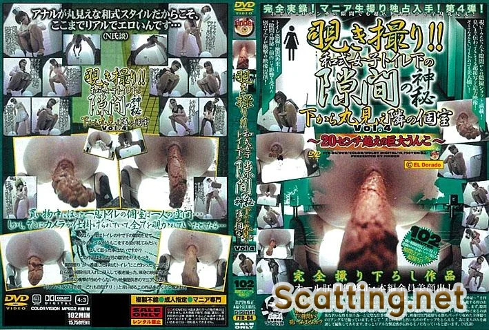Girls sit down on the toilet and shitting, kind of women’s excretion from below. (Toilet scat / 2019)  [SD/ FTD-04] 639 MB