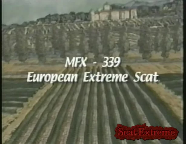 Karla, Leticia Miller, Karen - MFX-339 European Extreme Scat [DVDRip / 744.7 MB]