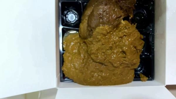 Large - Poop in a cardboard box [FullHD 1080p / 2.16 GB]