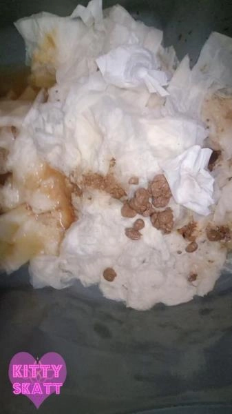 Kitty Skatt - Festival Constipation [UltraHD 2K / 517 MB]