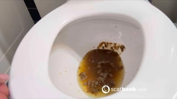 Shit For BDSM And Fetish Lovers 222 [HD 720p / 10.8 MB] Scatbook