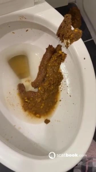 Bossys Bathroom Blunder A Splattered Catastrophe [SD / 9.86 MB] Scatbook