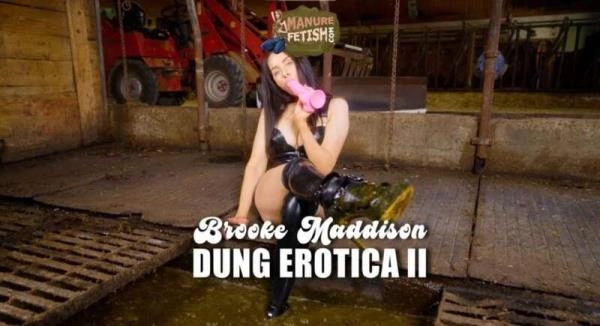 Scat Dung Erotica 2 [HD 720p / 971.5 MB] Manurefetish.com