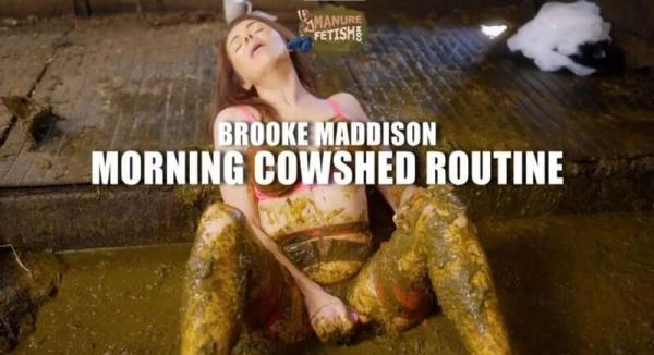 Morning Cowshed Routine [HD 720p / 820.8 MB] Manurefetish.com