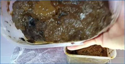 Anna Coprofield in Extreme Scat- Fill My Pussy 7 Saved And 1 Fresh Shit