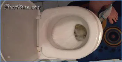 PooAlina Takes Hardcore Piss Drinking to the Limit in Sweet Morning Selfie