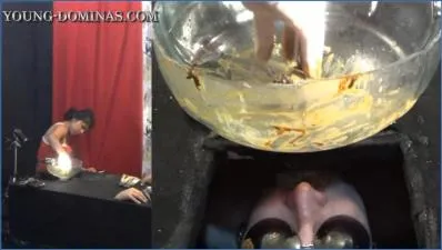 Stupid Slaves Pushes Extreme Femdom Limits in Black Box Poop Receiver 4