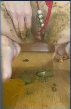 Veronika in Extreme Coprophilia: Double Penetration and Enema Fetish