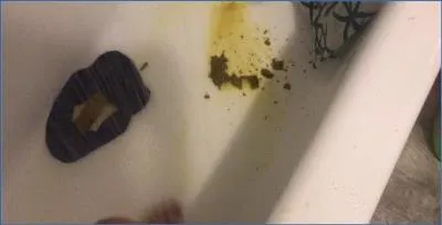 Missellie in Extreme Coprophilia and Toilet Slave Roleplay