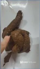 Domina Marbella Takes Hold in Heavy Toilet Slavery Scat POV