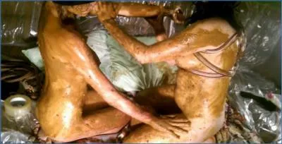 AstraCelestial Dominates Orgy with Shit Eating and Peeing - Wild