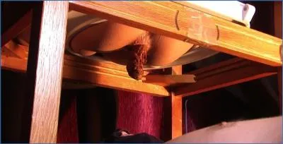 Diana Dominates with Piss and Toilet Slavery in Sordid Scat Action