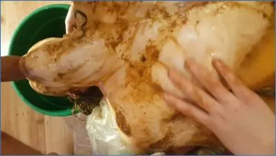 Astra Celestial Smashes Enema and Shit Eating in Twisted Russian