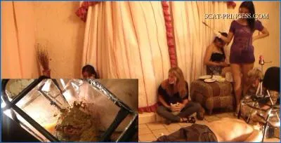 Extreme Scat Porn - Mercedes New Hard to resist Toilet Chair