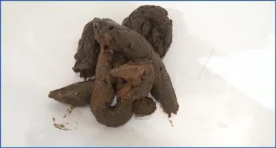 Hardcore Diarrhea and Piss Coprophilia with Sarah in HotDirtyIvone Video