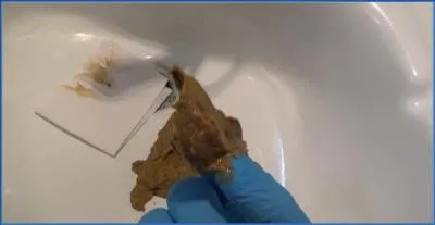 Mistress Roberta's Hardcore Diarrhea and Coprophilia video