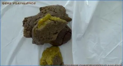 SexyFlatulence in Stand up Poos- Extreme Scat and Filthy Kaviar from Scat-Shop USA