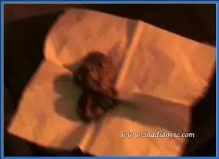 Ana Didovic Delivers Hardcore Anal and Scat mess in Living Room porn