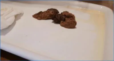 Badkitty España in Hardcore Macrophilia with Real Poop and Diarrhea