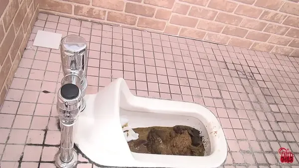 Japanese Scat Porn: Stinky Poops and Clogged Toilets - Download